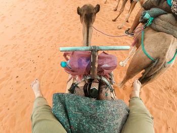 Midsection of person with umbrella on land