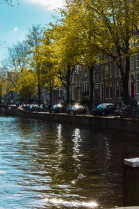 Canal by trees in city against sky