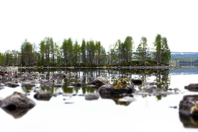 Reflection of trees in lake against clear sky