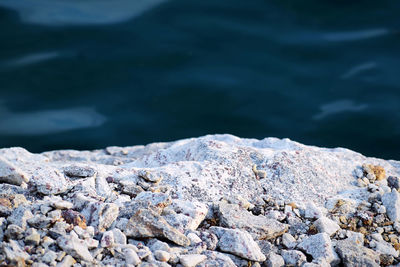 sea
