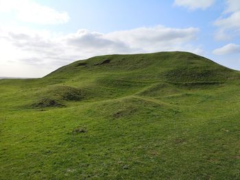 Scenic view of grassy field against sky