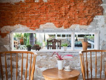 Potted plants on table against brick wall