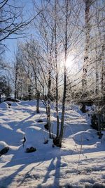 Bare trees on snow covered landscape