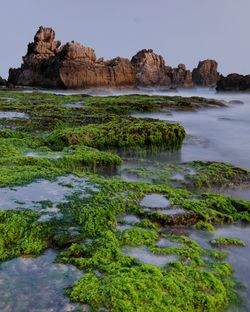 Rock formations by sea against sky