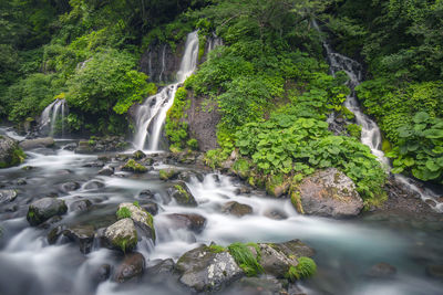 Scenic view of waterfall in forest