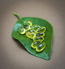 High angle view of green leaf on table