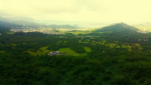 Aerial view of landscape