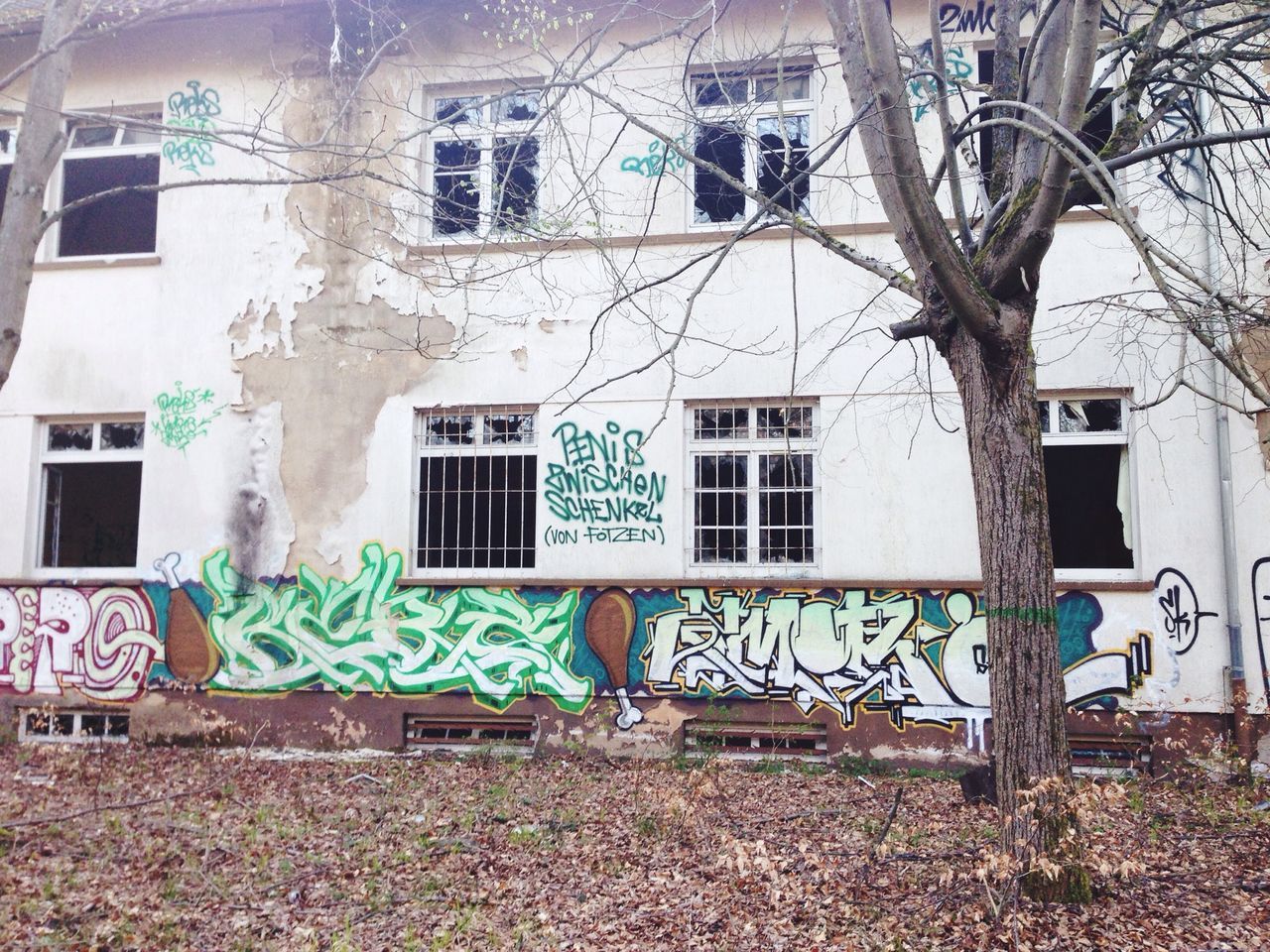 architecture, built structure, building exterior, graffiti, abandoned, window, building, house, wall - building feature, residential building, obsolete, day, damaged, residential structure, old, plant, outdoors, run-down, deterioration, no people