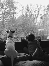 Rear view of boy and dog sitting on bed at porch