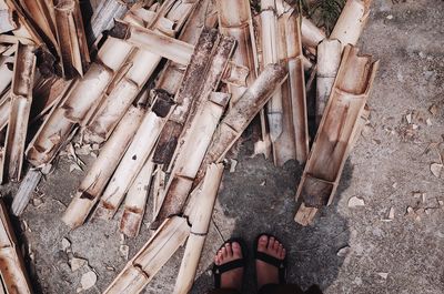 Low section of woman standing by damaged bamboos