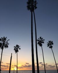 Silhouette palm trees against sky during sunset