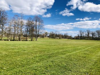 Scenic view of field against sky