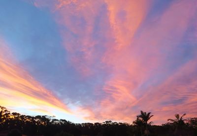 Low angle view of silhouette trees against dramatic sky