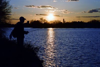 Silhouette of trees at sunset