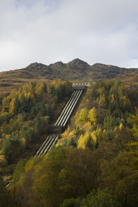 High angle view of trees in forest against sky