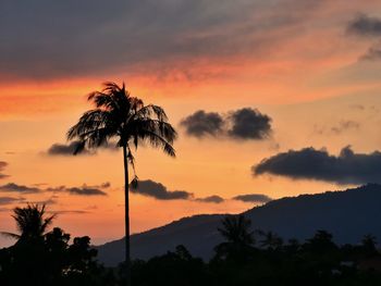 Silhouette palm trees against dramatic sky during sunset