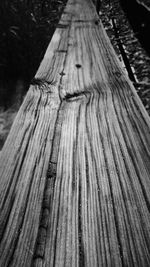 Close-up of tree trunk