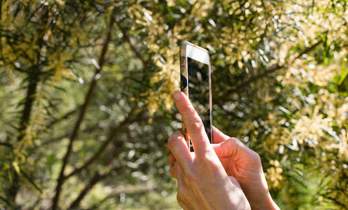 Close-up of hand holding mobile phone