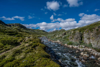 Stream mjolga near toviken, norway