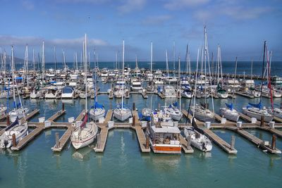 Sailboats moored in harbor