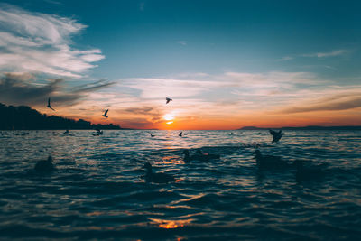 Birds flying over sea against sky during sunset