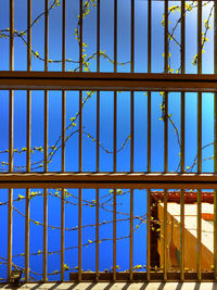 Low angle view of metal fence against blue sky