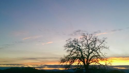 Scenic view of landscape at sunset