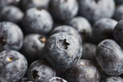 Full frame shot of blueberries