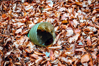 High angle view of dry leaves on field