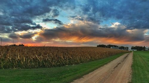 Scenic view of agricultural field against cloudy sky at sunset