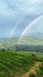 Scenic view of rainbow over landscape against sky