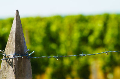 Close-up of barbed wire fence on field