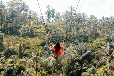 Rear view of person in forest against sky