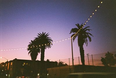 Low angle view of silhouette palm trees against sky at night