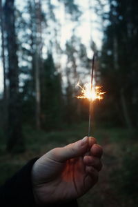 Cropped hand of man holding sparkler at forest