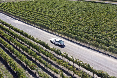 High angle view of man walking on field