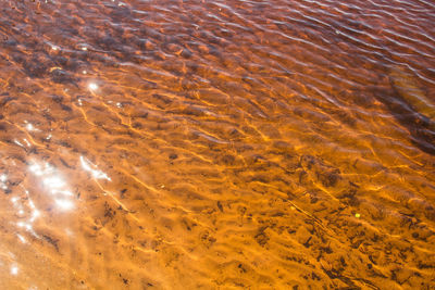 Full frame shot of shallow water