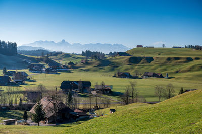 Scenic view of field against clear sky