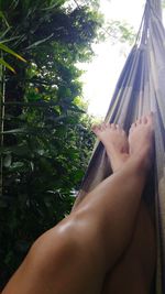 Low section of woman legs against trees