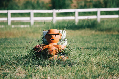 Stuffed toy on field