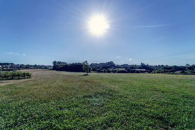 Scenic view of field against clear sky