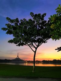 Trees on field against sky during sunset