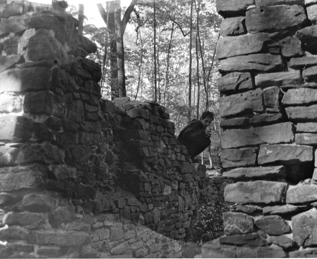 stone wall, rock - object, textured, tree, stone, stone - object, nature, stone material, tranquility, day, rock, rock formation, outdoors, brick wall, wall - building feature, no people, low angle view, tranquil scene, sunlight, rough