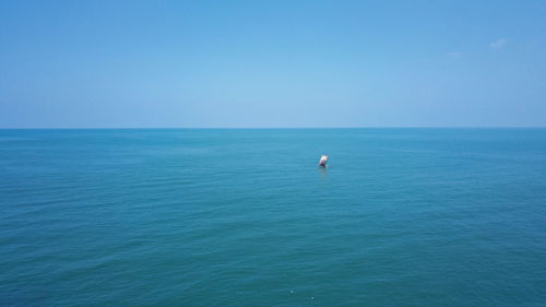 Scenic view of blue sea against clear sky