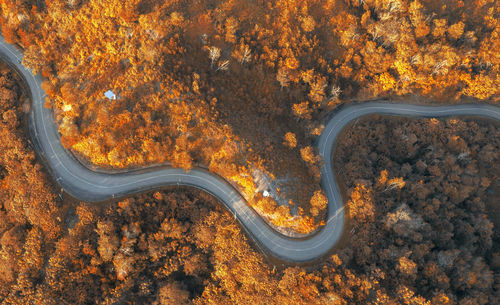 High angle view of road amidst trees during autumn