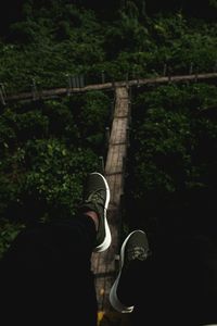 Low section of man standing by plants