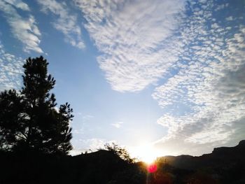 Low angle view of silhouette trees against sky