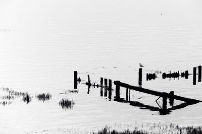 View of wooden posts in the sea