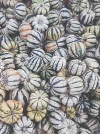 Full frame shot of pumpkins for sale