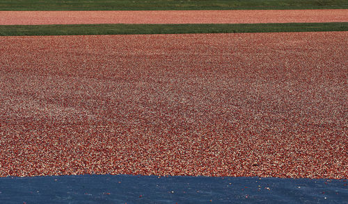 Red field